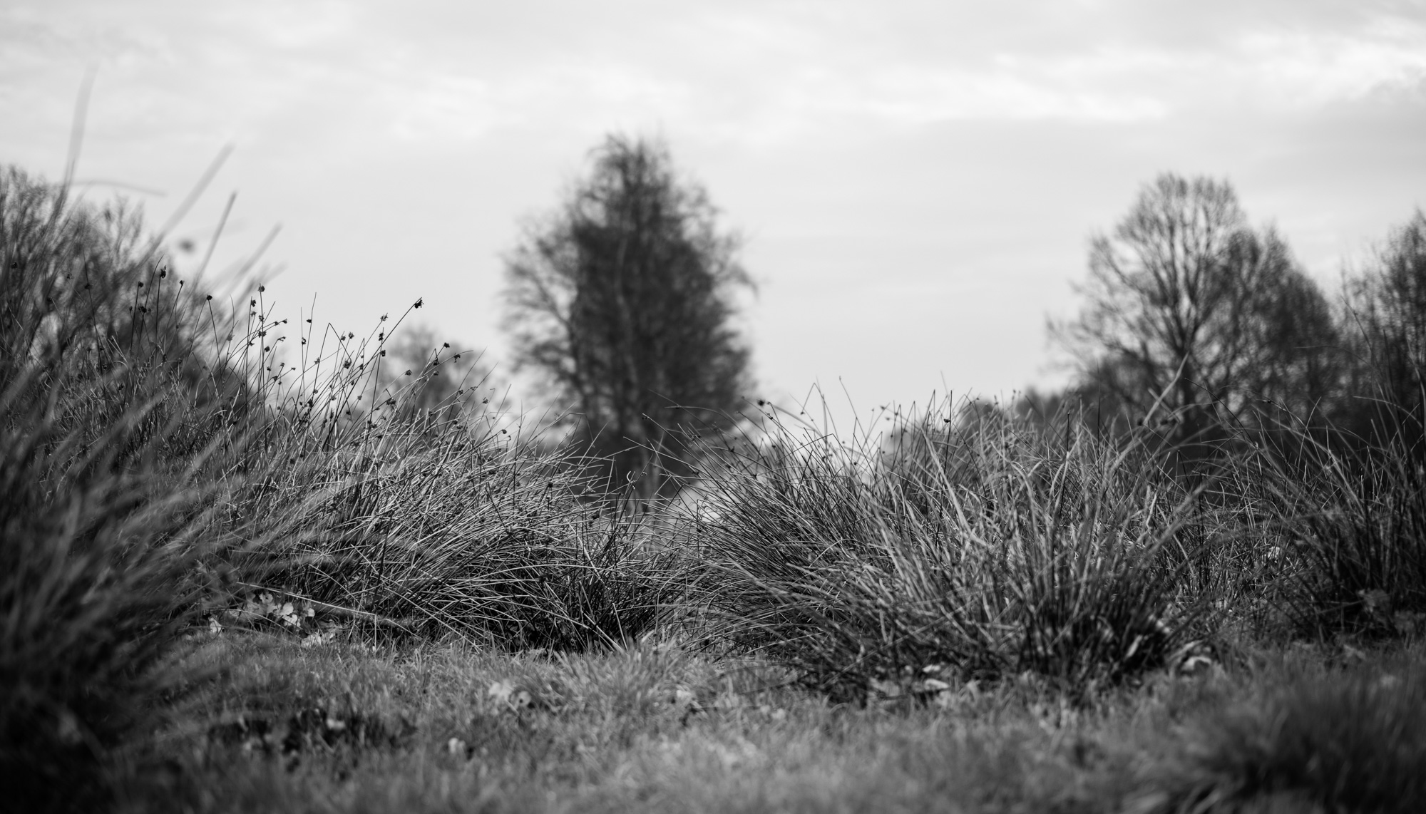 2023 03 18  xt 5   2500